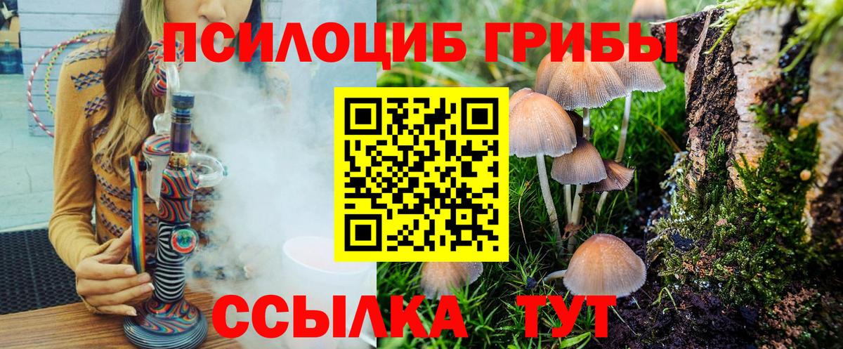 Псилоцибиновые грибы Cubensis Клин